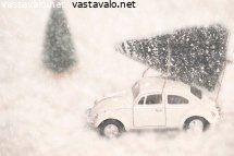 joulukuusi-auton-katolla