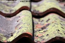 vanha-tiilikatto