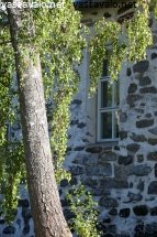 kaksi-vanhaa-vierekkain