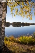 puulan-rannalla