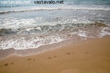 aallot-lyovat-rantaan