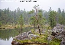 hiljaisuus