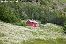 punainen-tupa-ilman-perunamaata