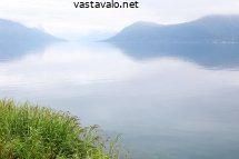 usva-halvenee