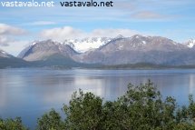 sinista-valkoista-ja-vihreaa