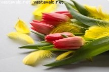 paasiainen