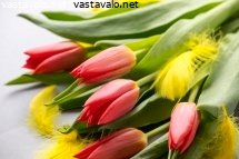 keltaisia-hoyhenia