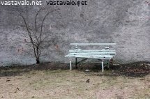 parnupenkkivaaka.jpg