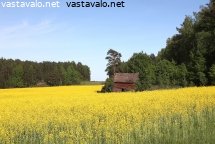 kevaan-vareja