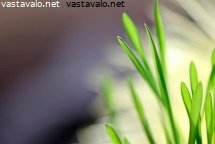 yksin-on-niin-pieni-maailmankaikkeudessa