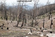 maastopalon-seurauksia-rodoksella