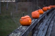 kurpitsalyhdyt-sillankaiteella