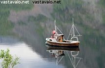 venealtallavaaka-vx.jpg