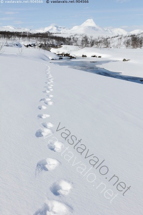 kuva-ahman-j-ljet-tuntureilla-maisema-tunturimaisema-tunturi-paras