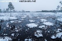 jaatyva-suo