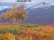 syyskuun-vareja
