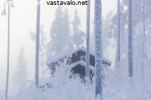 talo-metsassa