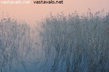 rannassa