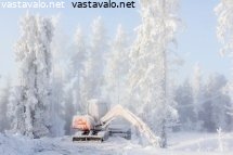 kaivuri-jahmeana