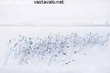 jyvasjarvi-talvella