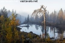 utuinen-jokimaisema