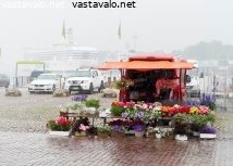 kukkien-kasteluhetki