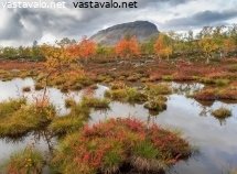 syksyinen-saana