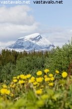 kesa-ja-talvi