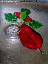 lehtia-ja-pisaroita