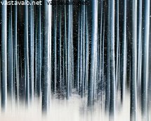 talvisimulaatio