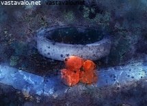 nallet-iltahamarissa