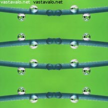 pisarat-kukkien-varsilla