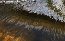 virtaava-vesi