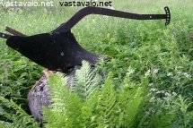 maanviljelyshistoriaa