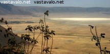 ngorongoro