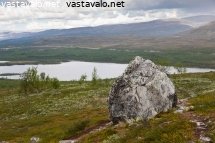 iso-kivi