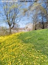 kevainen-kaisaniemenpuisto
