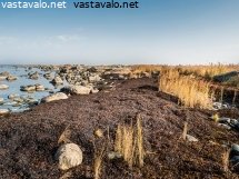 rakkolevavalli