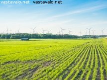 tuulivoimalat-maisemassa