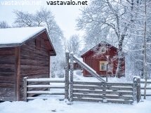 pakintalon-pihapiiri