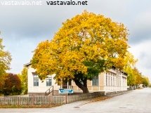 kaskisten-kaupungintalo