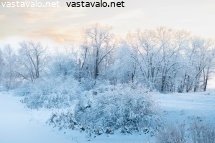 talvimaisema
