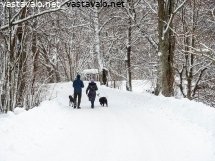 ulkoilijat