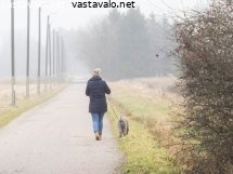 koiran-kanssa-kavelylla