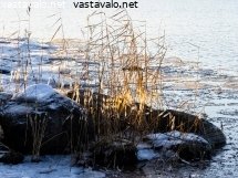 jaatyneet-korret