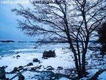 helmikuinen-rantamaisema