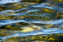 rantavesi