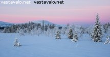 kaamospaiva-harrisaajossa