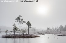 talvi-tekee-tuloaan