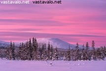 tunturin-iltavalot